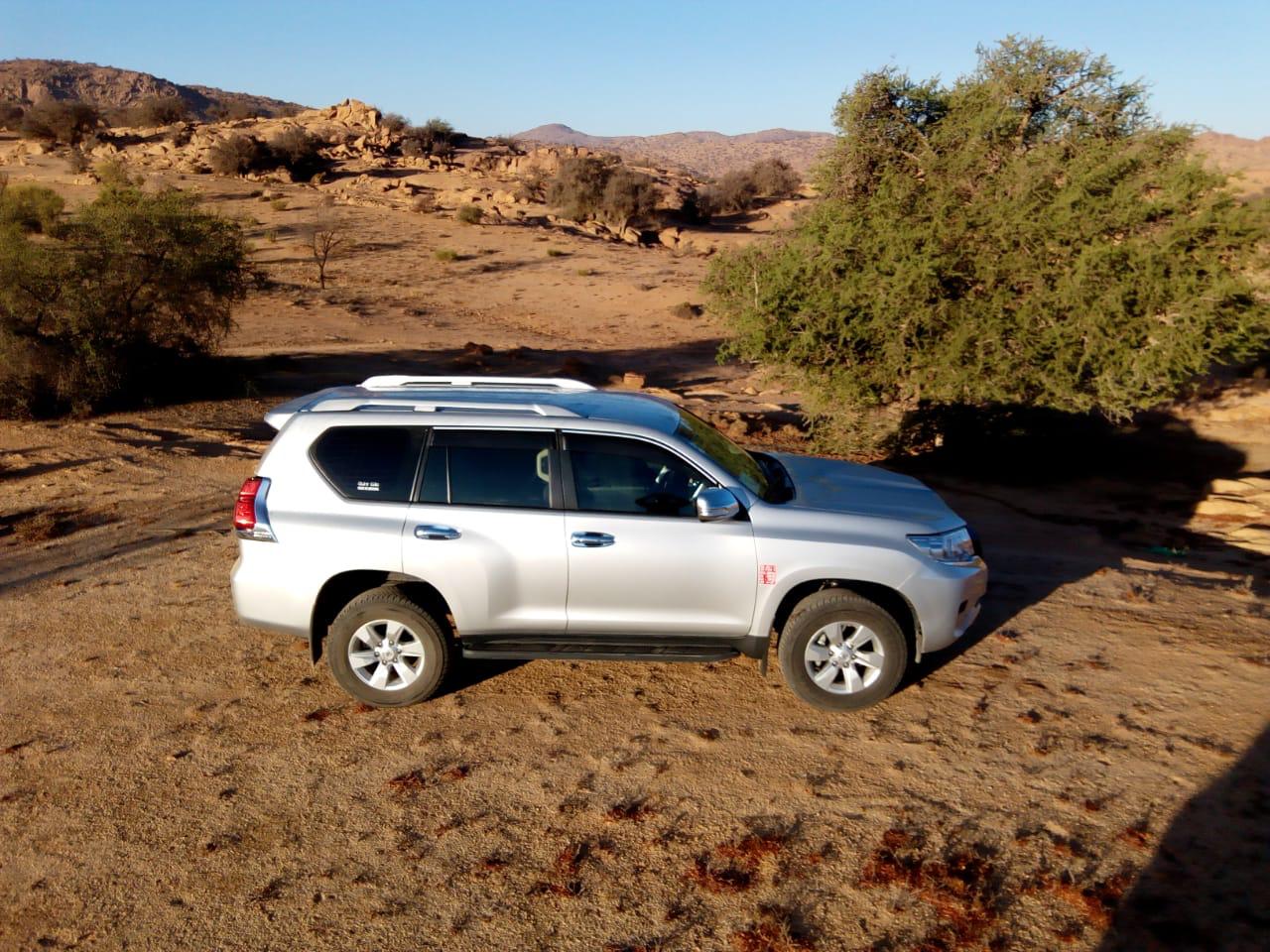 Toyota Prado